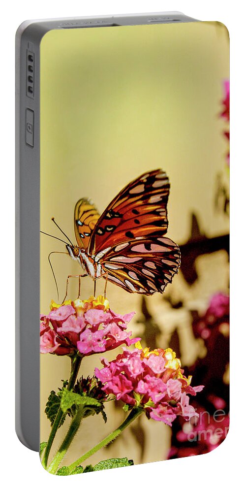 Butterfly Portable Battery Charger featuring the photograph A monarch butterfly sits on a flower while eating its nectar.	 by Gunther Allen