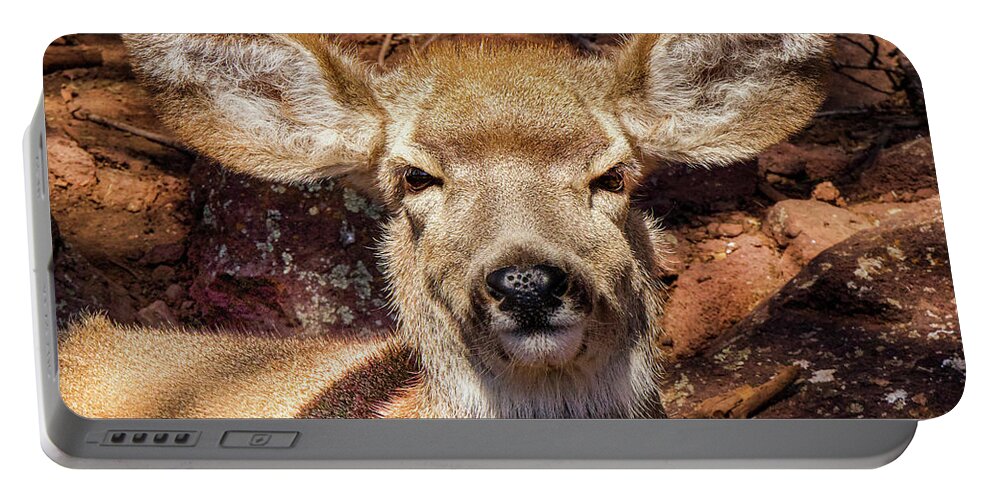Deer Portable Battery Charger featuring the photograph A Mule Deer by Laura Putman