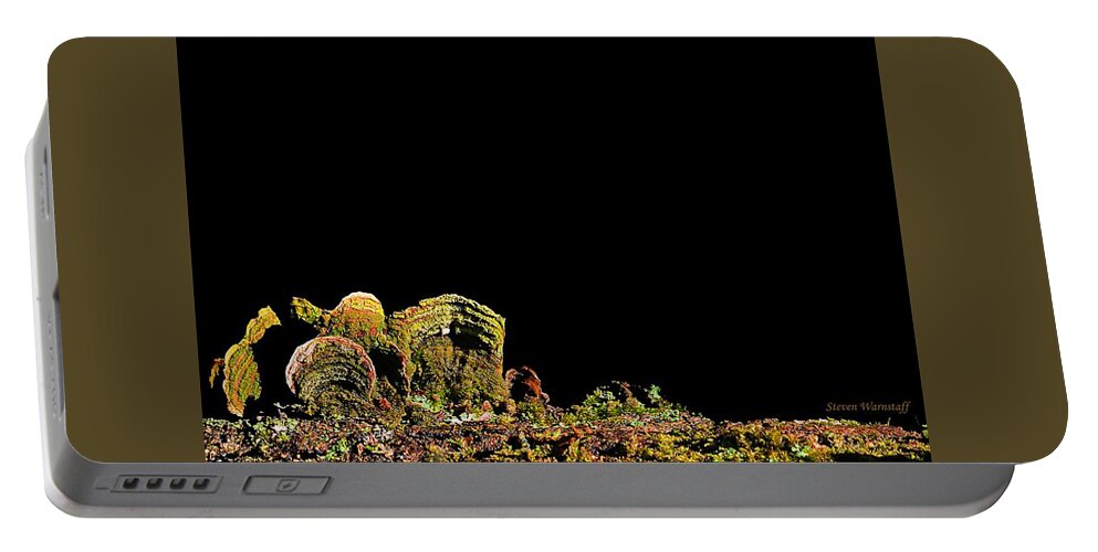 Fungi Portable Battery Charger featuring the photograph A New Land by Steve Warnstaff