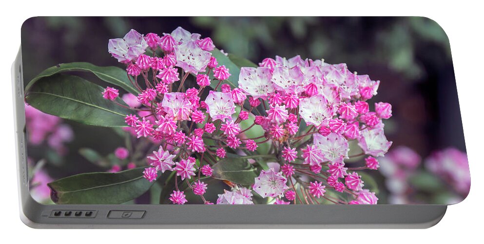 Flowers Portable Battery Charger featuring the photograph A pink bunch by Elaine Teague