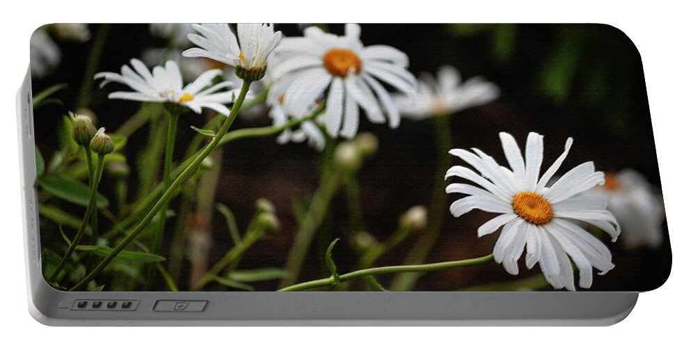 Photograph Portable Battery Charger featuring the photograph A Profusion of Daisies by Suzanne Gaff
