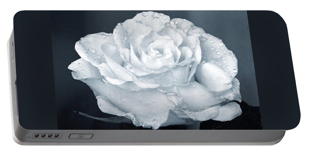 Rose Portable Battery Charger featuring the photograph A Real Cool Rose. by Terence Davis