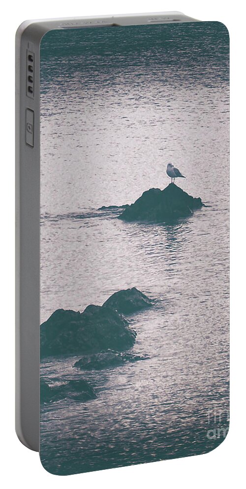 Vintage Portable Battery Charger featuring the photograph A Seagull Rests by Phil Perkins
