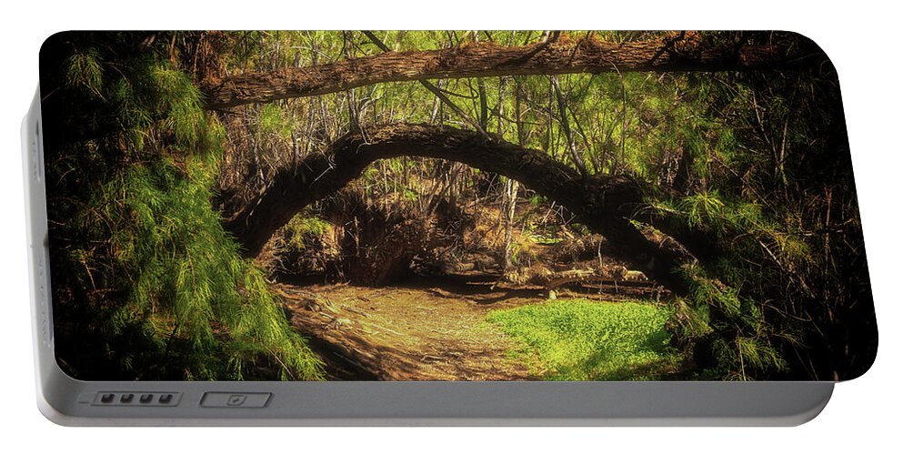 Abstract Portable Battery Charger featuring the photograph A Secret Passage by Rick Furmanek