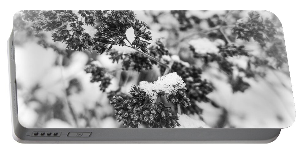 Snow Portable Battery Charger featuring the photograph A Study in Winter by Linda McRae