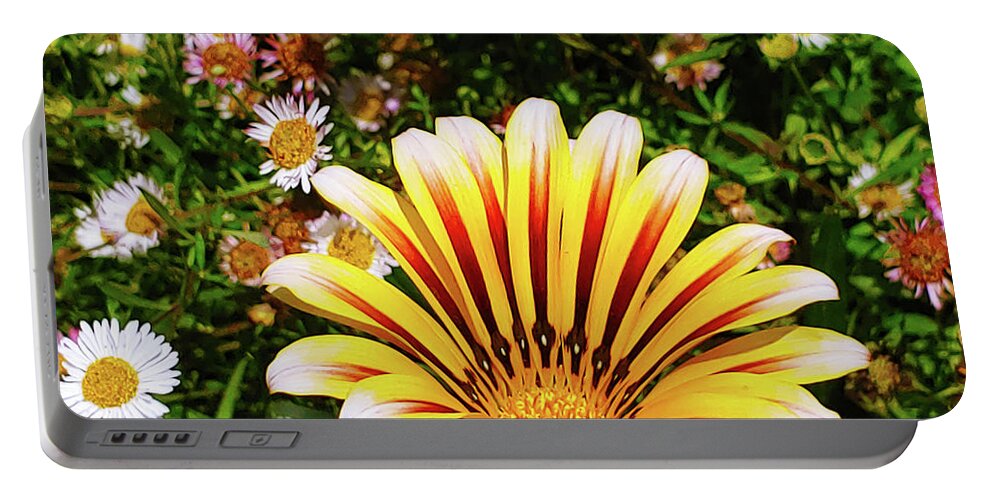 Flowers Portable Battery Charger featuring the photograph A Sunrise of Flowers by Marcus Jones