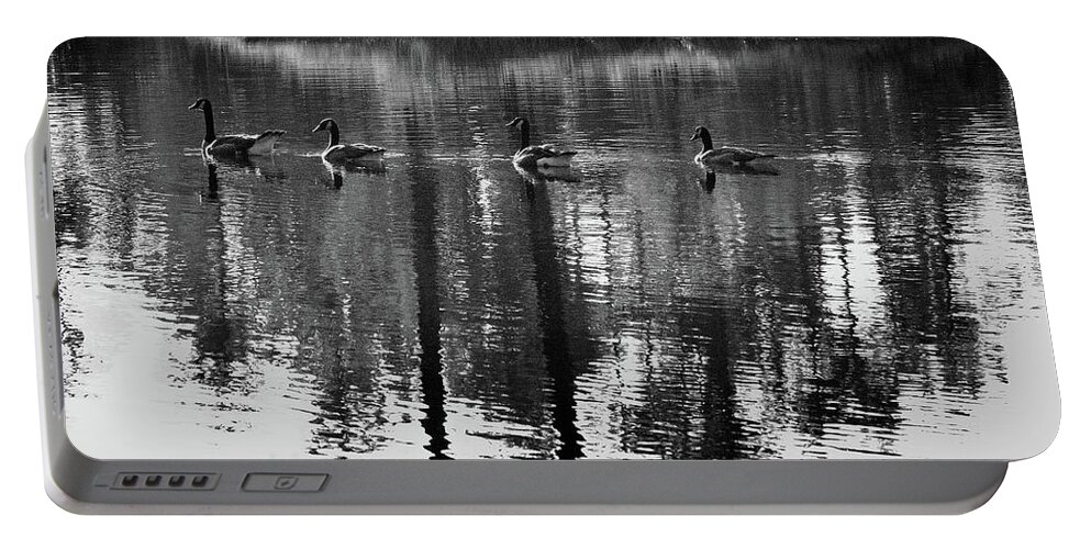 Geese Portable Battery Charger featuring the photograph A Swim in the Pond by George Taylor
