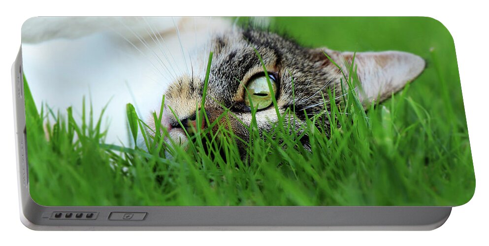Domestic Cat Portable Battery Charger featuring the photograph Tabby kitten lying in grass by Vaclav Sonnek