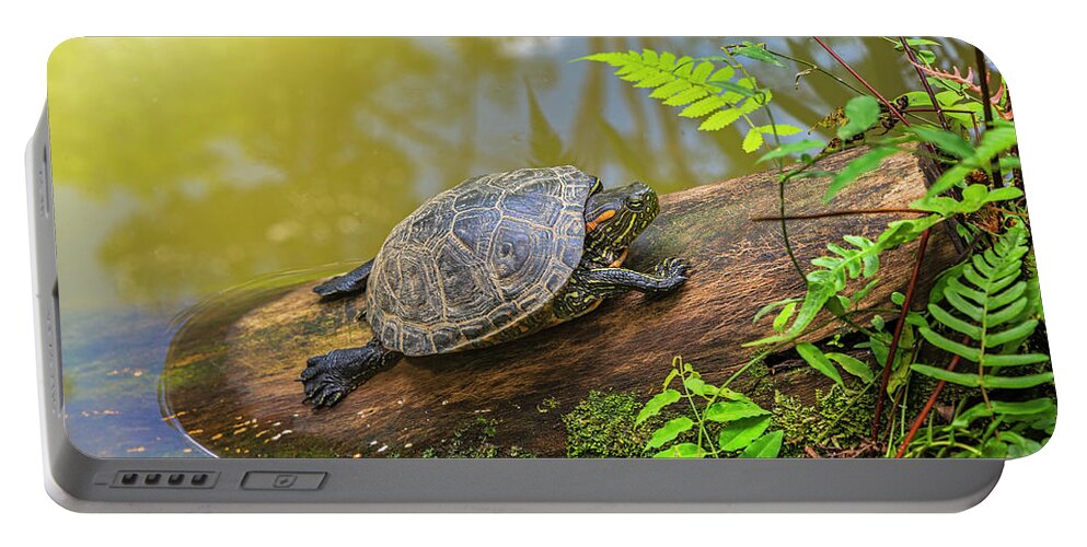 Ahuano Portable Battery Charger featuring the photograph A terrapin Arrau turtle resting and sunbathing on a log by Henri Leduc