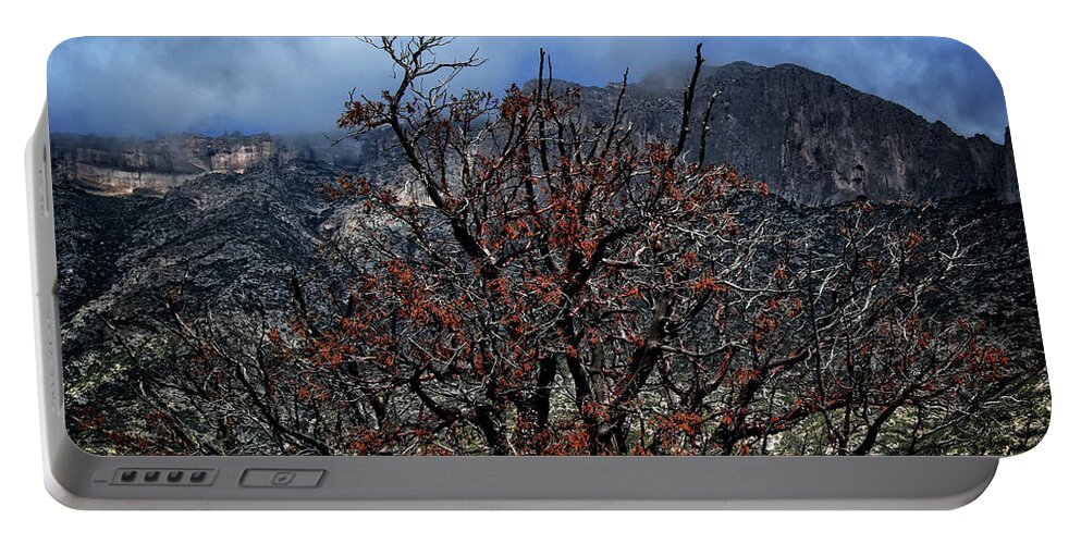 Tree Portable Battery Charger featuring the photograph A Tree in the Canyon by George Taylor
