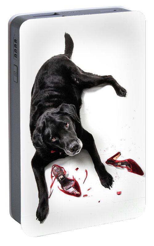 Black Lab Portable Battery Charger featuring the photograph A Very Bad Dog by Diane Diederich