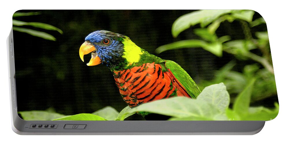 Bird Portable Battery Charger featuring the photograph A very talkative squawking lorikeet is making quite a noise.	 by Gunther Allen