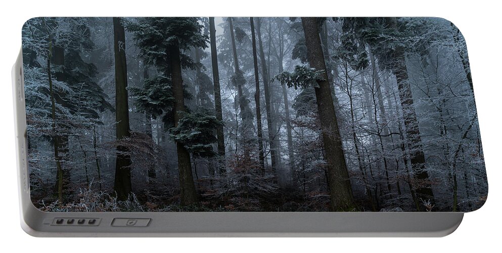 Landscape Portable Battery Charger featuring the photograph A walk in the mysterious forest by Stan Weyler