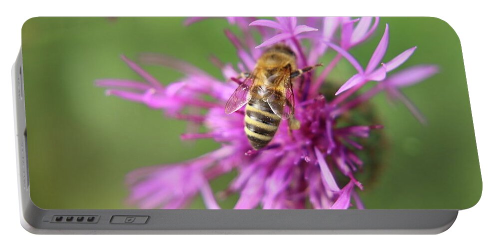 Bee Portable Battery Charger featuring the photograph A Western honey bee pollinating red clover in Slovakia grassland by Vaclav Sonnek