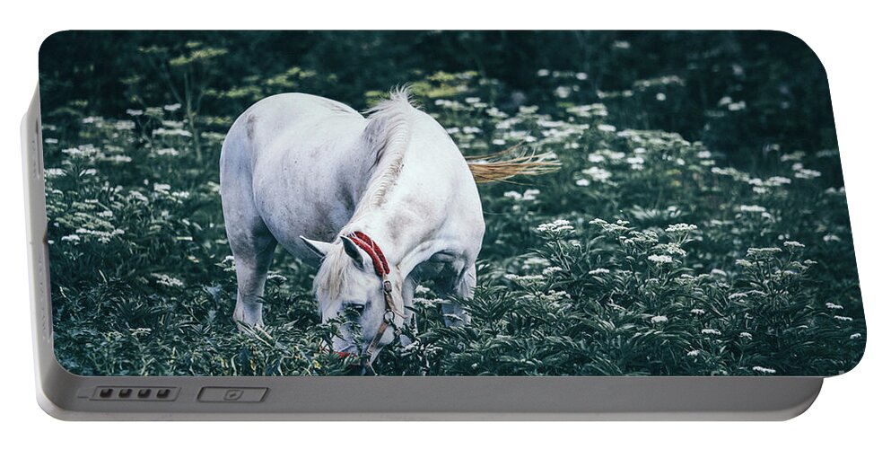 Horse Portable Battery Charger featuring the photograph A white horse grazes on a meadow II by Dimitar Hristov