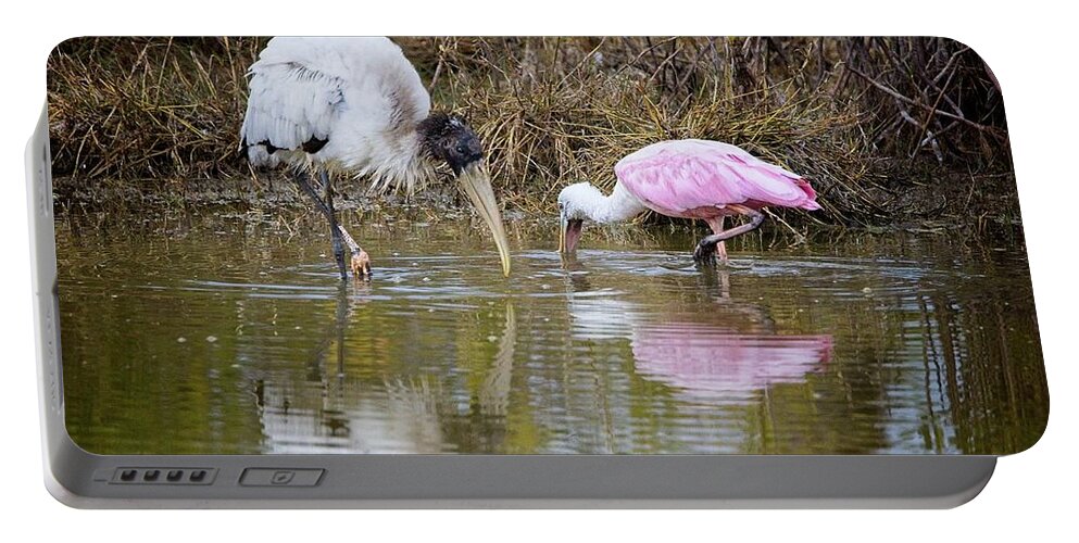 Feeding Portable Battery Charger featuring the photograph A Wood Stork and Spoonbill feeding together. by Ronald Lutz