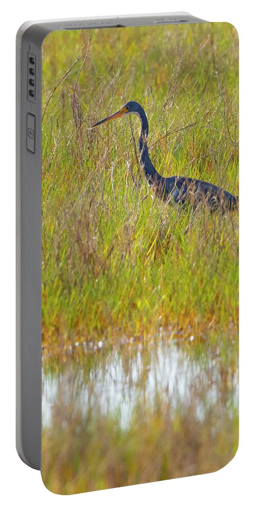 R5-2669 Portable Battery Charger featuring the photograph A Youngster out in the Grasslands by Gordon Elwell