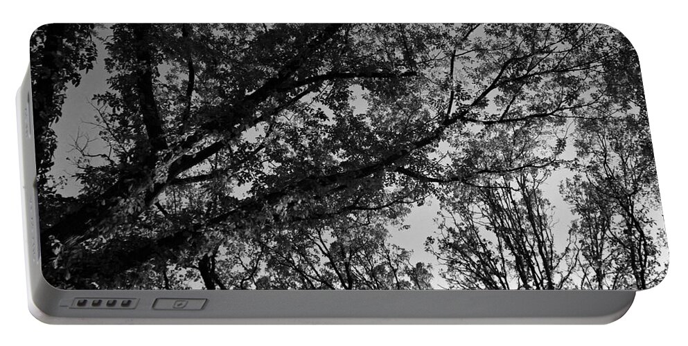 Monochrome Portable Battery Charger featuring the photograph Abstract Autumn Sunlit Tree Branches - Mono by Frank J Casella