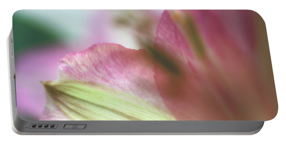 Abstract Floral Wall Art Portable Battery Charger featuring the photograph Abstract Floral Wall Art by Gwen Gibson