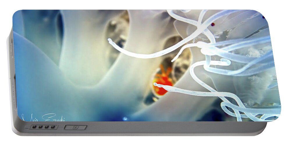  Portable Battery Charger featuring the photograph Abstract Jellyfish by Meir Ezrachi