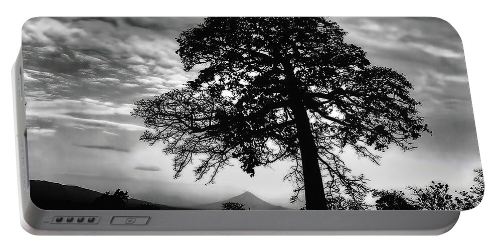 Acacia Portable Battery Charger featuring the photograph Acacia and Volcano Silhouetted by Wayne King