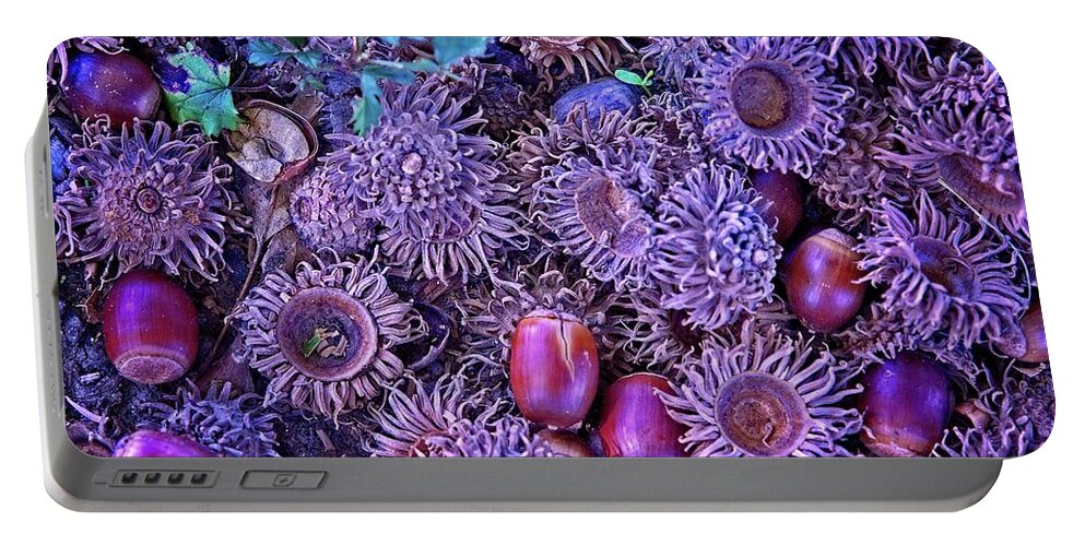 Abstract Portable Battery Charger featuring the digital art Acorns, Pods, And Seeds by David Desautel