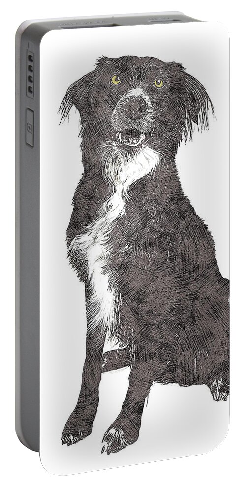 Border Collie Portable Battery Charger featuring the painting Actually so cute, Border Collie by Custom Pet Portrait Art Studio