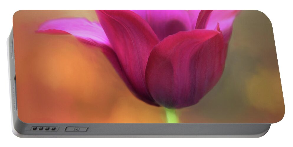 Tulip Portable Battery Charger featuring the photograph Adoration by Mary Lynn Giacomini