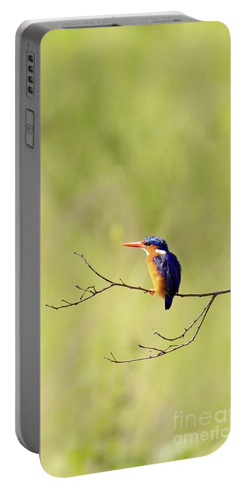 Malachite Portable Battery Charger featuring the photograph Adult malachite kingfisher, corythornis cristatus, perched on a by Jane Rix
