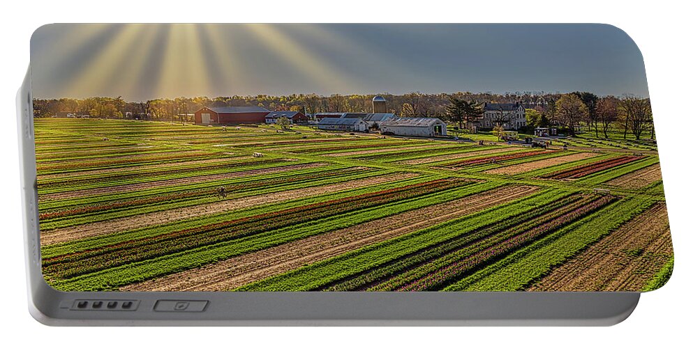 Tulip Portable Battery Charger featuring the photograph Aerial Tulip Farm by Susan Candelario
