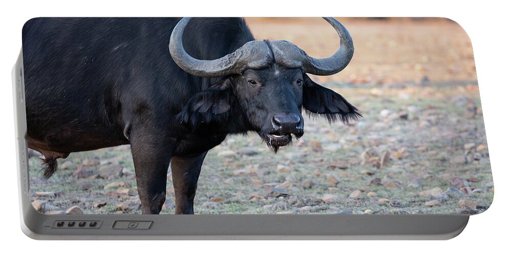 African Buffalo Portable Battery Charger featuring the photograph African Buffalo2 by Eva Lechner