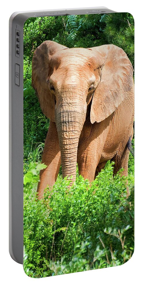 African Elephant Portable Battery Charger featuring the photograph African Elephant coming through trees by Flees Photos