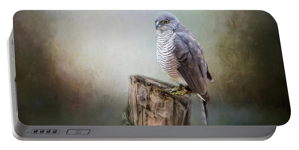 African Goshawk Portable Battery Charger featuring the photograph African Goshawk by Eva Lechner