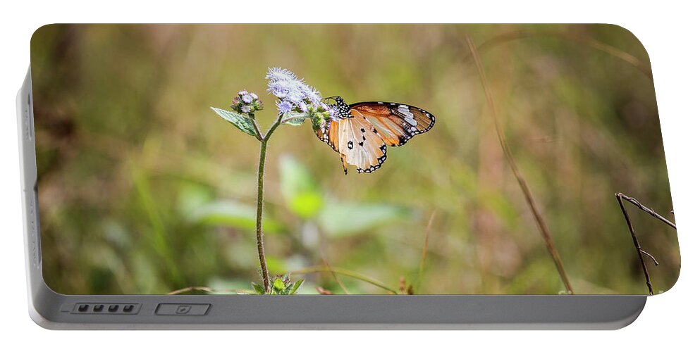 Butterfly Portable Battery Charger featuring the photograph African Monarch by Claudio Maioli