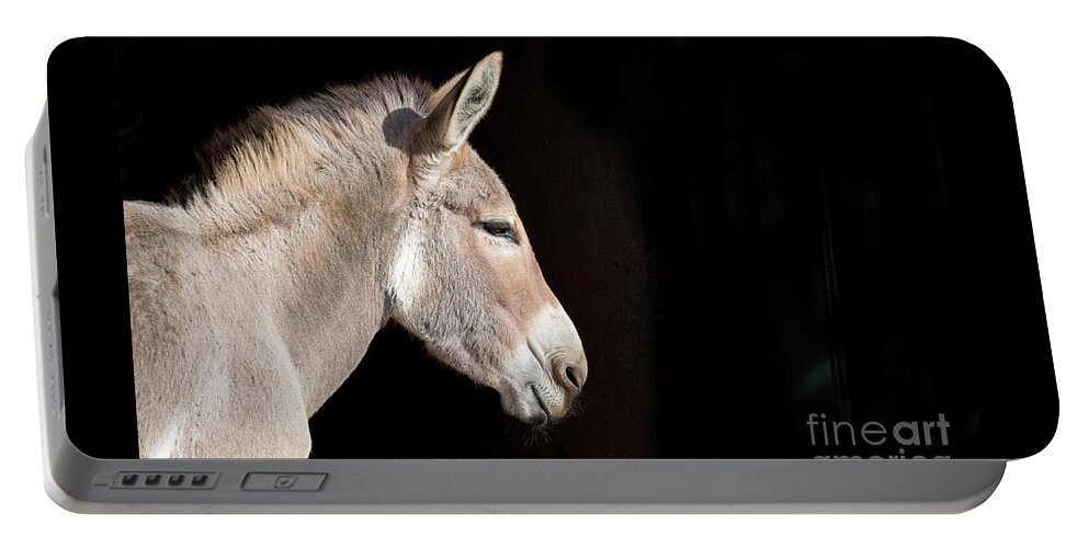 Conservation Portable Battery Charger featuring the photograph African wild donkey side profile with space for text. Indigenous by Jane Rix