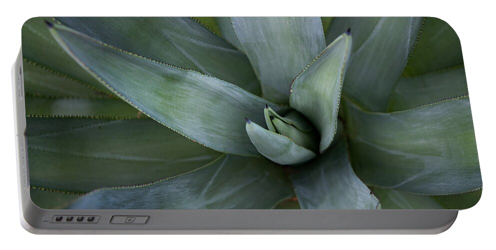 Agave Portable Battery Charger featuring the photograph Agave by Bonny Puckett