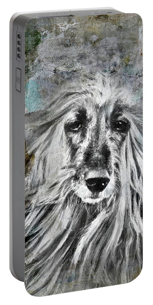 Afghan Hound Portable Battery Charger featuring the digital art Age by Diane Chandler