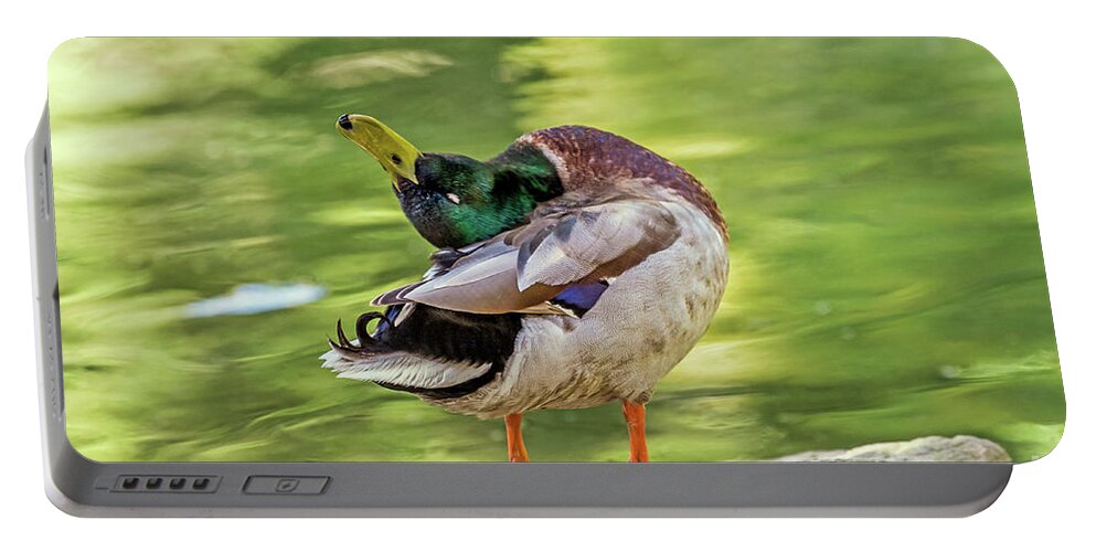 Mallard Portable Battery Charger featuring the photograph Ahhhhh by Kate Brown
