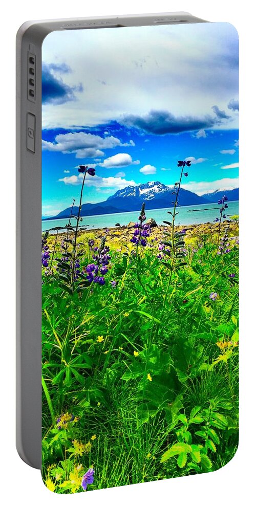 Alaska Portable Battery Charger featuring the photograph Alaskan View by Dlamb Photography