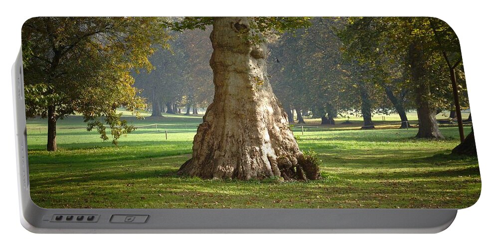 Trees Portable Battery Charger featuring the photograph Parco Cavour. Ottobre 2016 #7 by Marco Cattaruzzi