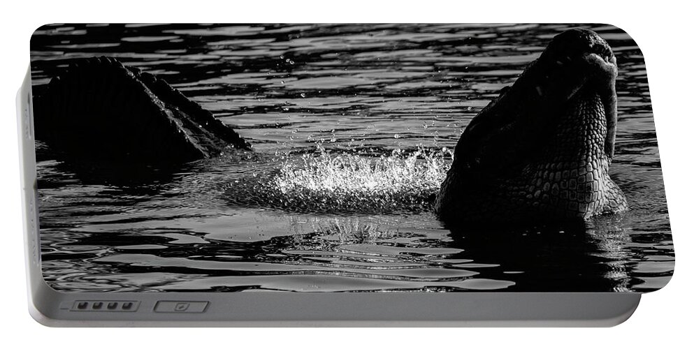Black Portable Battery Charger featuring the photograph Alligator Bellow in Black and White by Carolyn Hutchins
