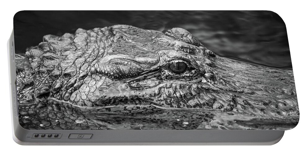 Alligator Portable Battery Charger featuring the photograph Alligator Eye by Kimberly Blom-Roemer
