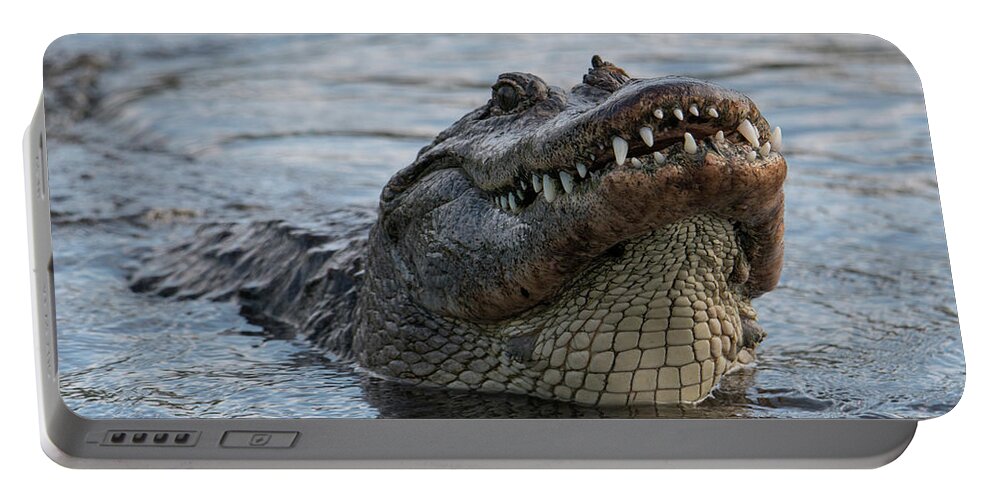 Alligator Portable Battery Charger featuring the photograph Alligator Smile by Carolyn Hutchins