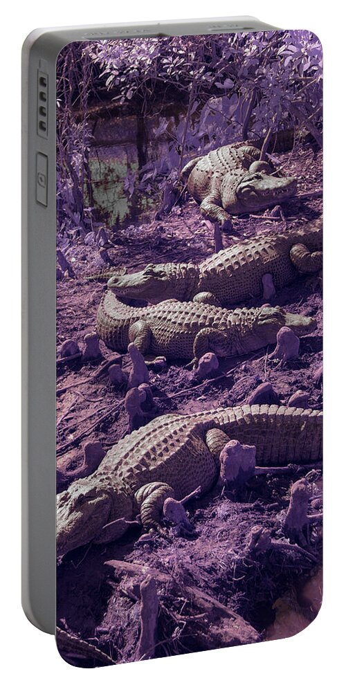 Alligator Portable Battery Charger featuring the photograph Alligators by Carolyn Hutchins