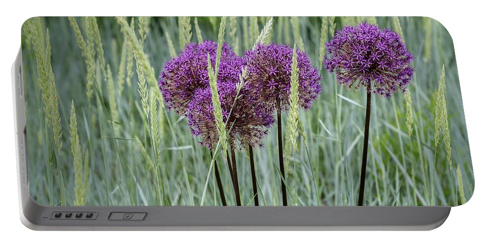 Dow Gardens Portable Battery Charger featuring the photograph Allium in the Weeds by Robert Carter