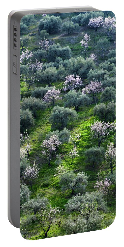 Almonds Portable Battery Charger featuring the photograph Almond and Olive trees by Gary Browne