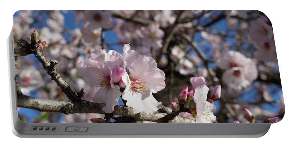 Spring Portable Battery Charger featuring the photograph Almond Blossom 4 by Adriana Mueller