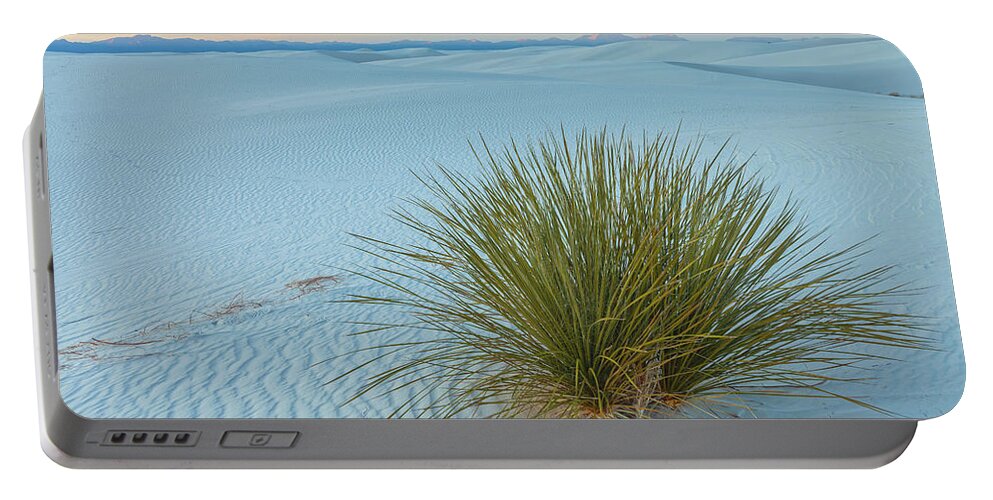 Sand Dunes Portable Battery Charger featuring the photograph Alone In Desert by Jonathan Nguyen