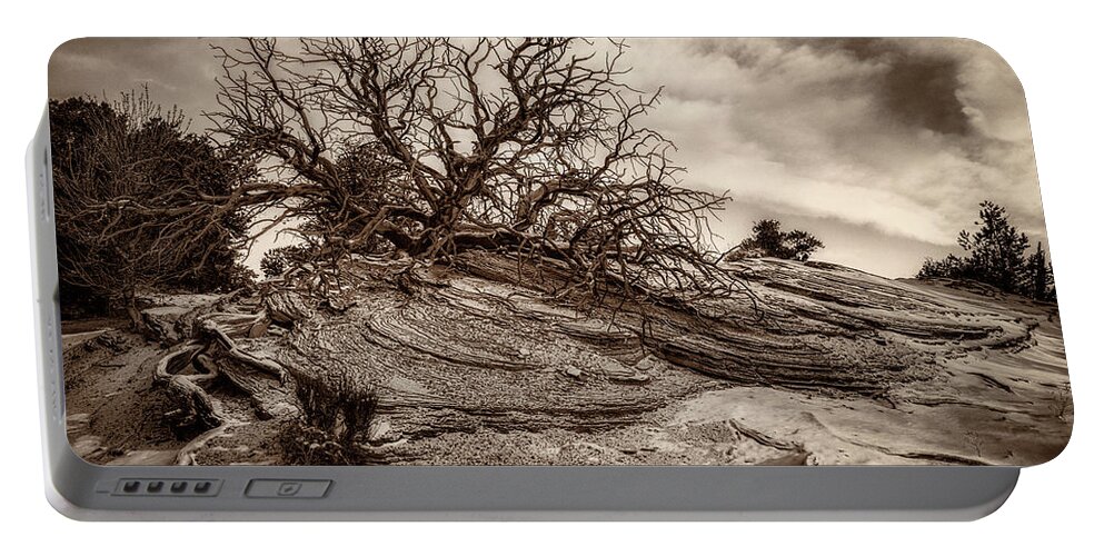 Buck Portable Battery Charger featuring the photograph Along the Mesa Arch Trail in Monochrome by Kenneth Everett