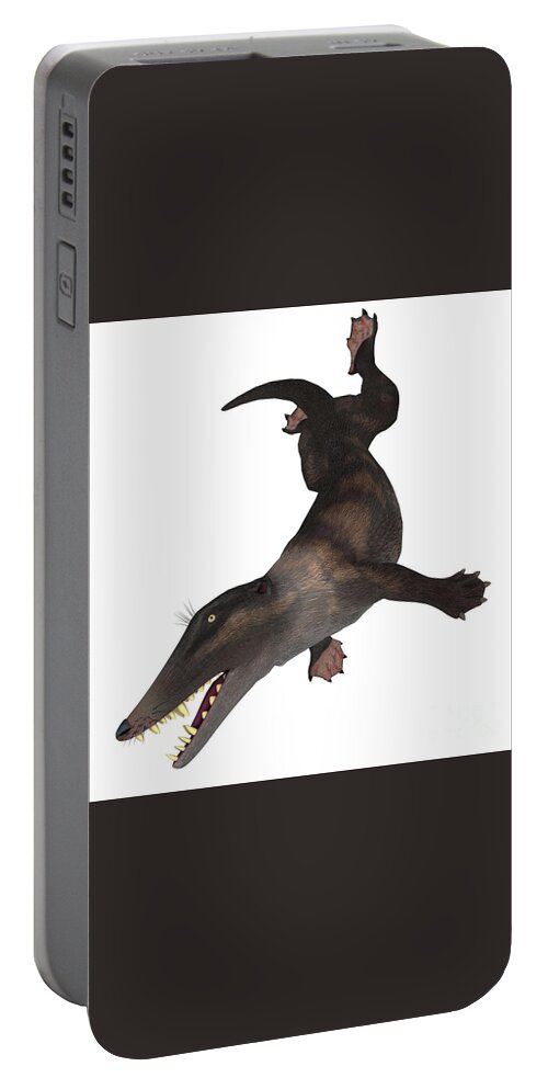 Ambulocetus Portable Battery Charger featuring the digital art Ambulocetus Swimming by Corey Ford
